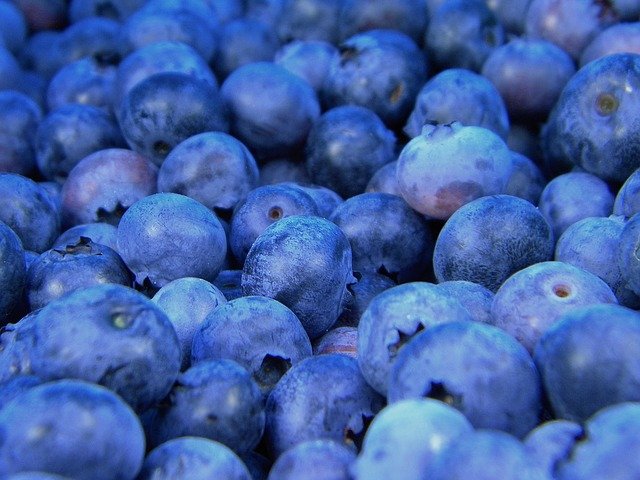blueberries-1245724_640.jpg