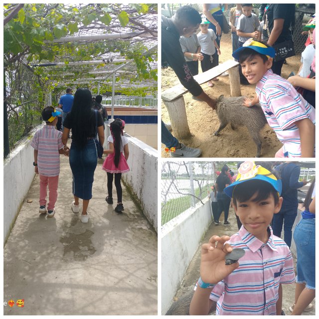 photocollage_202551721850187.jpg