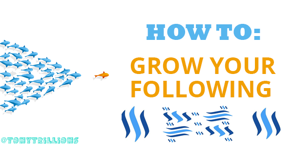 Grow-Your-Social-Following.png