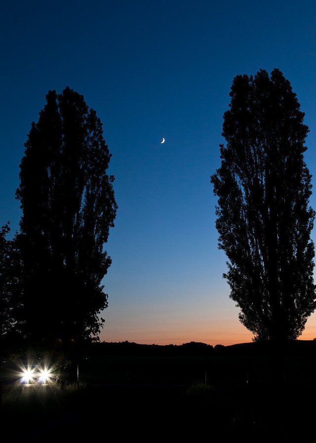 7269944416-a-car-a-moon-and-two-trees (FILEminimizer).jpg