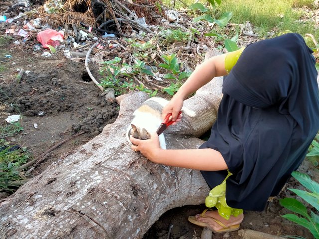 IMG20250106171015.jpg
