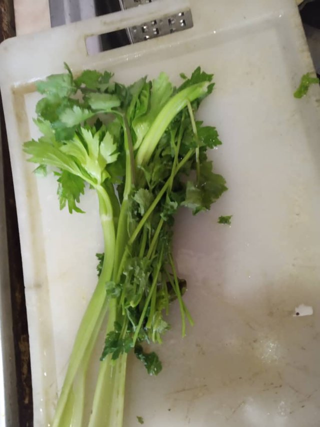 cilantro.jpg