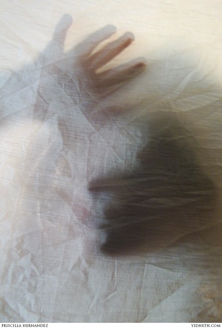 ghost shadow - by priscilla Hernandez (yidneth.com)-3.jpg
