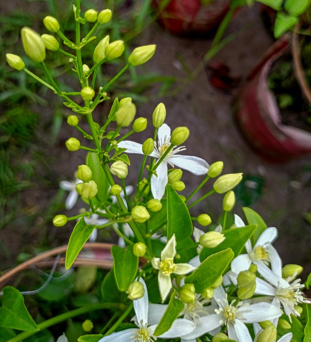 IMG20250521174607.jpg