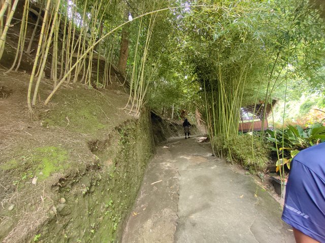 IMG_20250512_124820.jpg