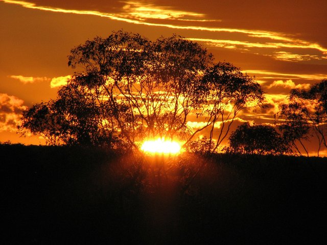 golden-sunset-173594_1920.jpg