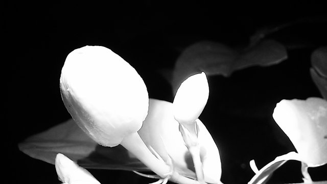 20250625_213006.jpg