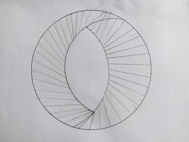 1000045265.jpg
