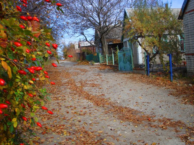 DSC03380.JPG