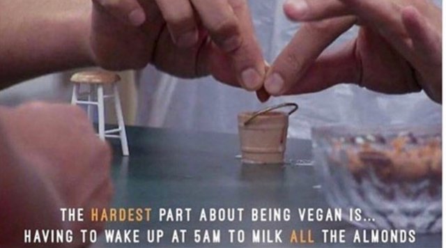 Image result for image of milking almonds