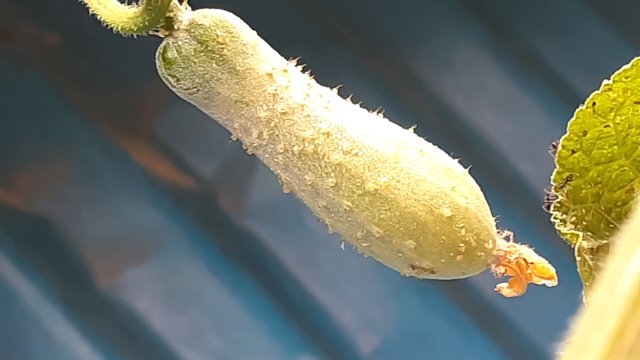 20201016_082422.jpg