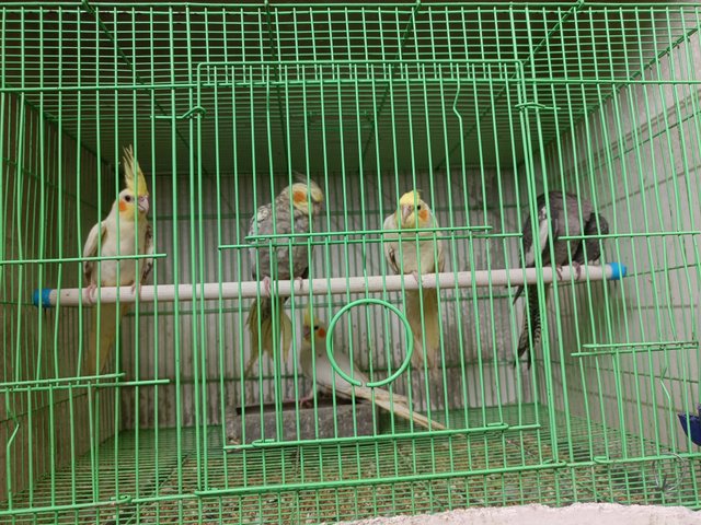 IMG20240629110442.jpg