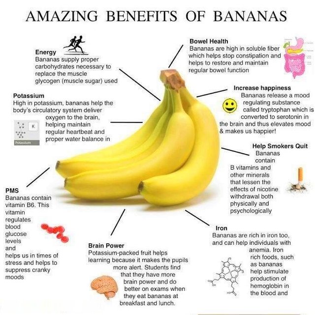 steemit-amazing benefits of banana.jpg