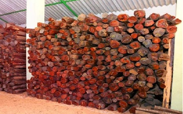 red sandalwood.jpg