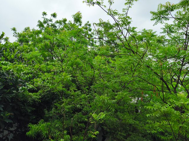 IMG_20250423_102821.jpg