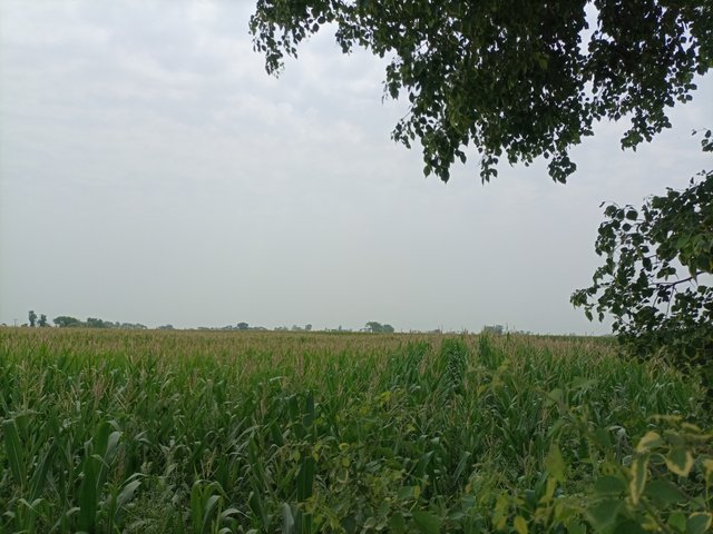 IMG_20250505_123503_677.jpg