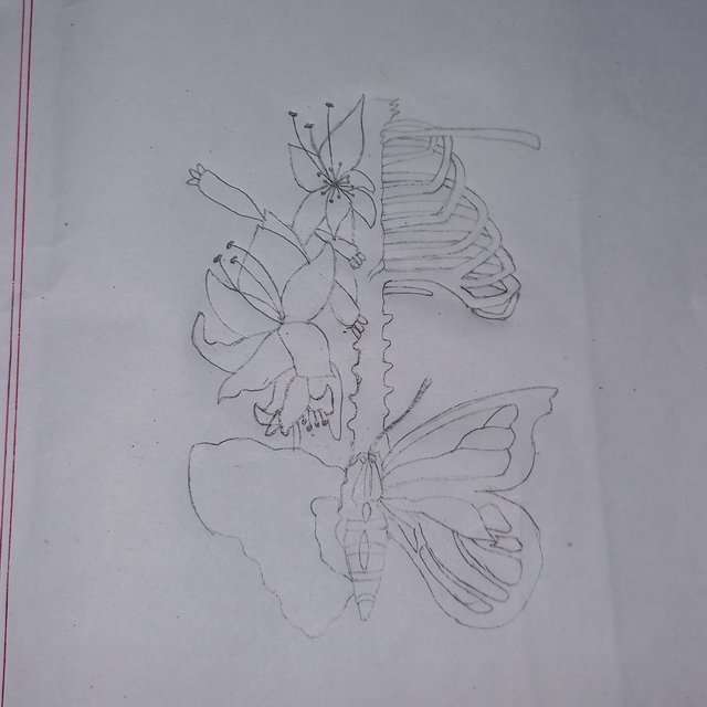 20251004_230022.jpg