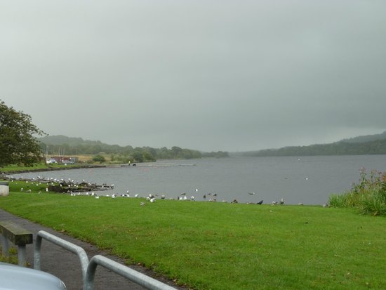 castle-semple-country.jpg