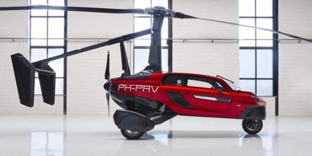 PAL-V_Liberty_Flying_Car_Solid_Dutch_Engineering.jpg