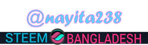 Firma naya bangladesh.png