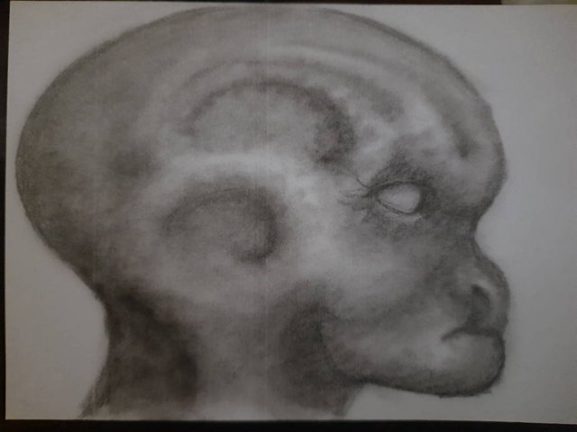 20250630_112455.jpg