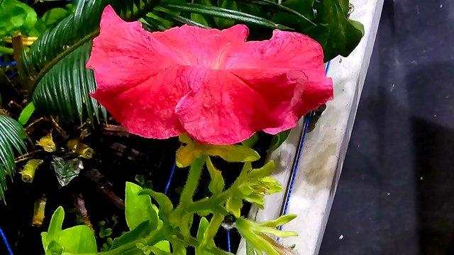 20241212_225118.jpg