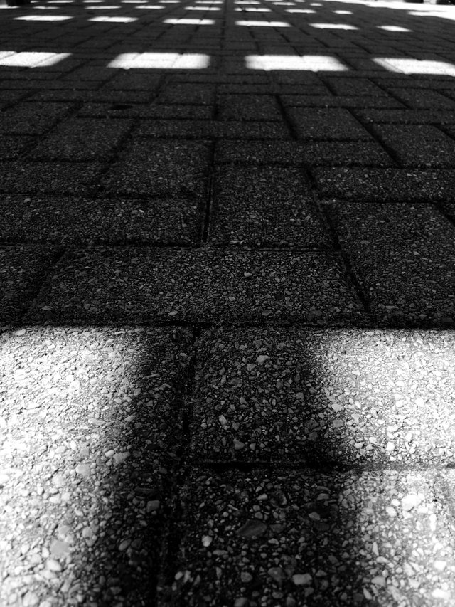 sombra-5.jpg