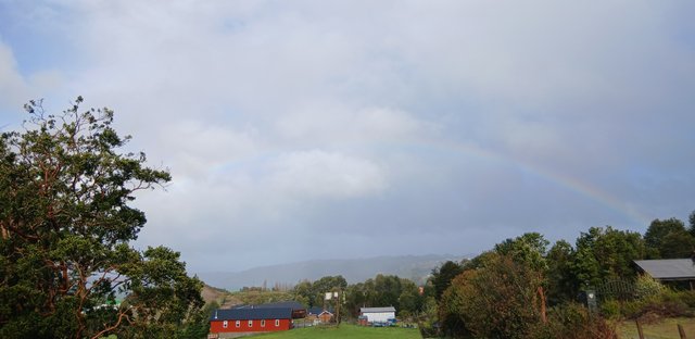 20250730_140402.jpg