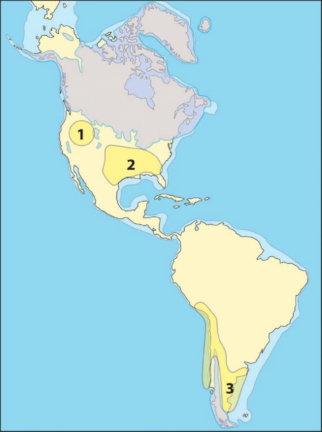 Outline-map-of-North-and-South-America-showing-the-location-of-roughly-contemporaneous.png