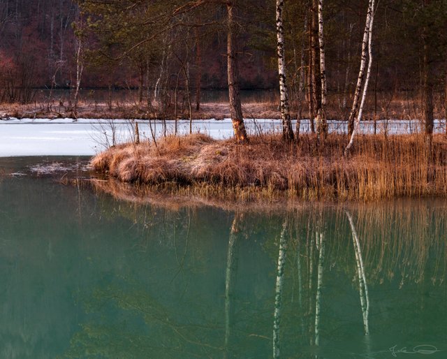 2019-02-17-Rosental-Drau-Island-03.jpg