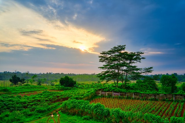 agriculture-clouds-countryside-2328715.jpg