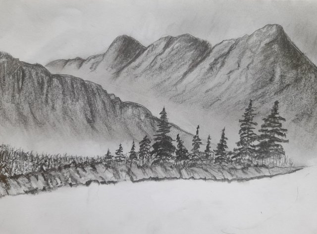 20250729_160237.jpg