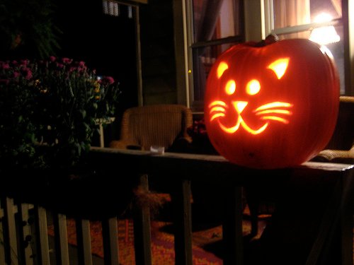 Gatosencasa_calabazahalloweengato_mockstar2.jpg