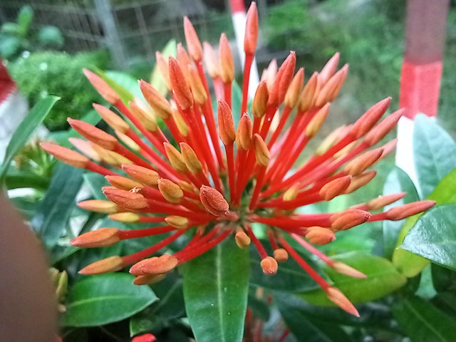 20250619_120742.jpg