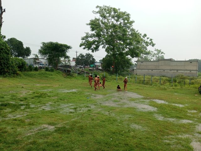 IMG_20250615_132546_714.jpg