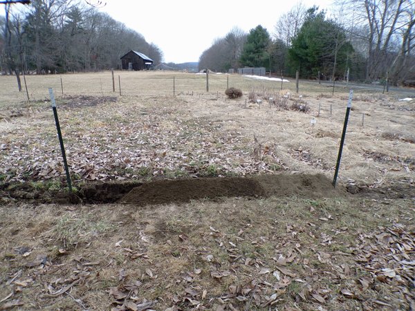 Big garden - 1 section fence finished crop February 2020.jpg