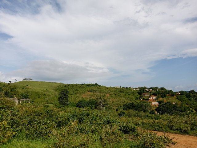 IMG_20250718_160033_504.jpg