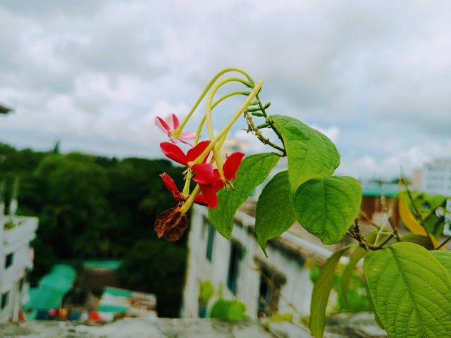IMG_20250812_170503.jpg