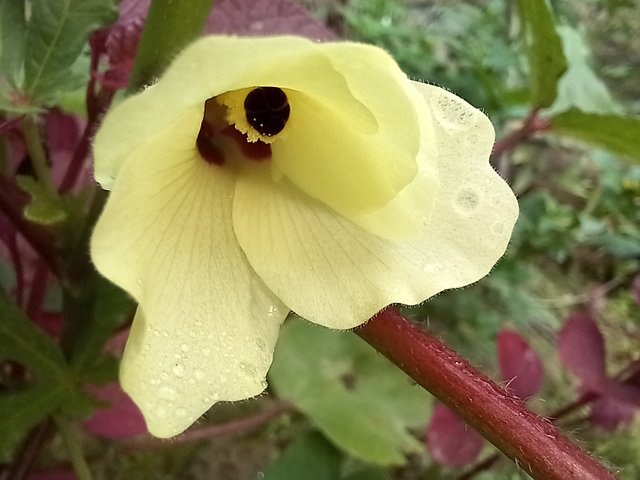 20250620_101404.jpg