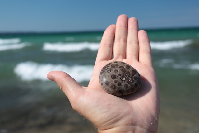 petoskji stone at lake.JPG