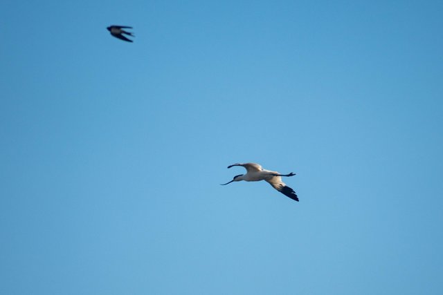 DSC_6480.jpg