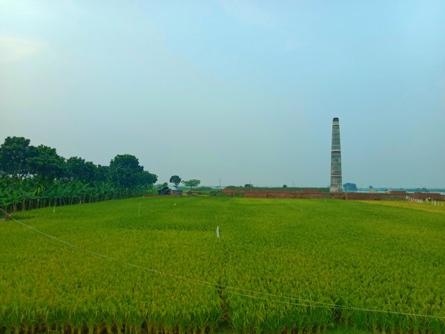 IMG_20250925_074116.jpg