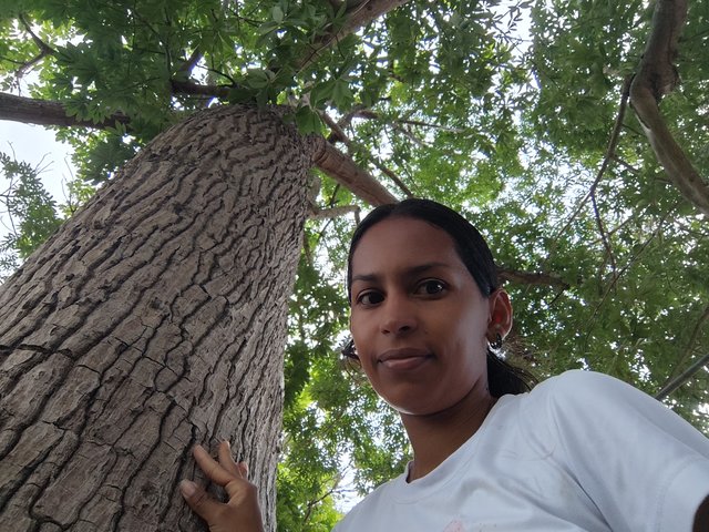 IMG_20250624_102456.jpg