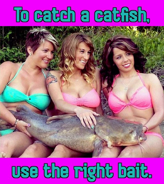 catfish_master_baiter.jpg