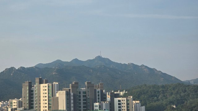 1000127419.jpg