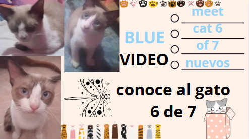 AZUL.PNG