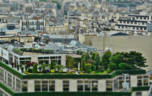 roof-terrace-gae1b3b561_1280.jpg