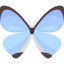 butterfly (5).png