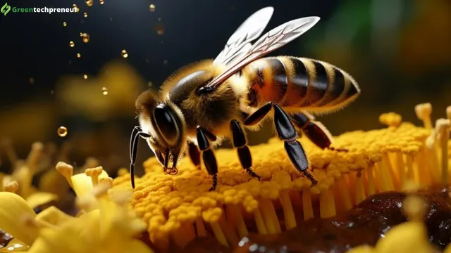 The Allure of Super-Pollinators.webp