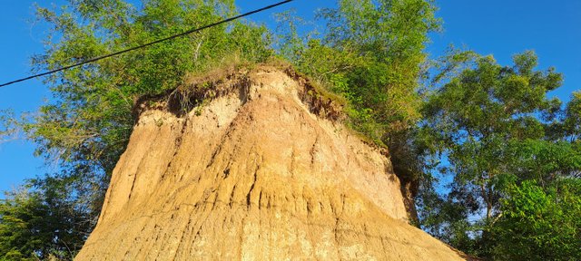 20250423_071131.jpg